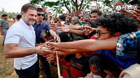 Rahul Gandhi Rae Bareli Or Wayanad