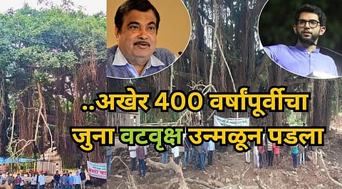 Banyan Tree Yellamma Temple