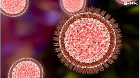 Nagpur Zika Virus Update