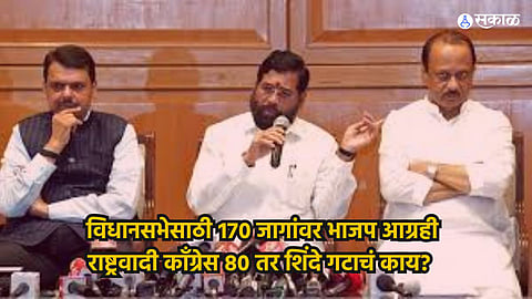 Mahayuti seat-Sharing