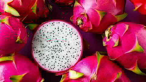 Dragon Fruit