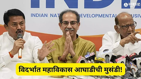 Loksabha Elections Vidarbha