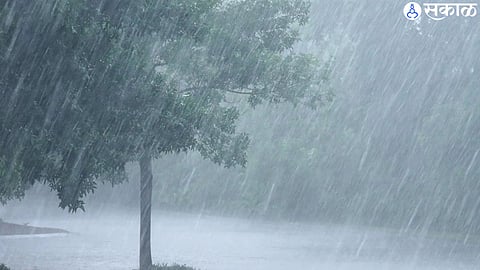 Nashik Unseasonal Rain Damage