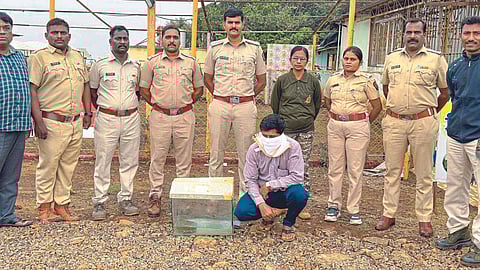 Mahabaleshwar Forest Division