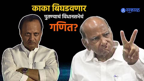 Lok Sabha Result sharad pawar ajit pawar