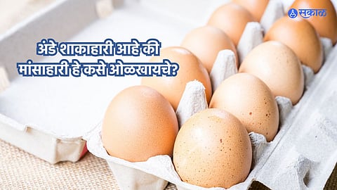 National Egg Day