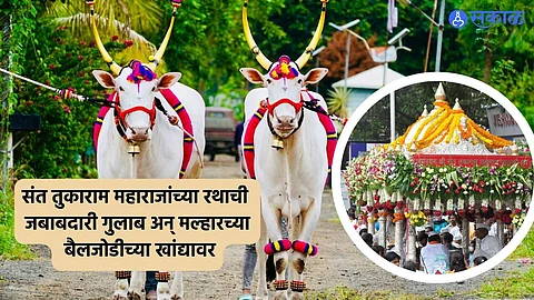 Ashadhi Wari 2024 :