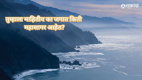 World Ocean Day 2024