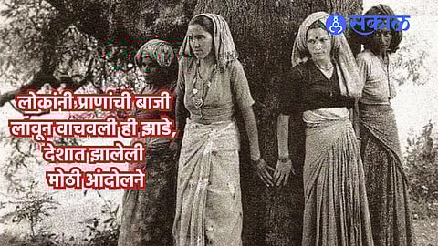 World Environment Day 2024