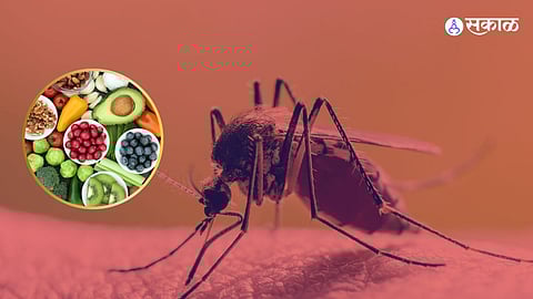 Zika Virus Diet