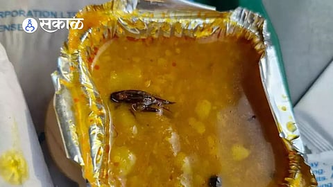 Vande Bharat Cockroach: 'वंदे भारत' प्रिमियम ट्रेनमध्ये जेवणात आढळलं झुरळ! प्रवाशानं थेट अश्विनी वैष्णव यांच्याकडं केली तक्रार
