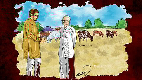 Farmer