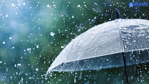 Maharashtra Rain Update : विदर्भ, पश्चिम महाराष्ट्रात दमदार पाऊस,ताम्हिणी येथे सर्वाधिक ३०० मिलिमीटर; कोल्हापूर, गडचिरोली, चंद्रपूर जिल्ह्यांत पूरस्थिती