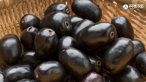 jamun
