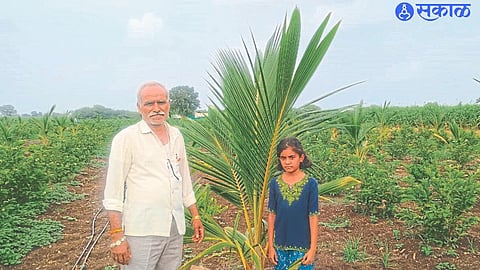 Deepak Ahire showing the coconut tree.
