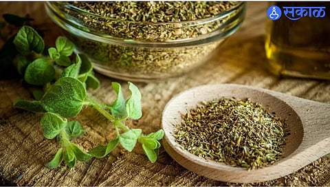 Make Oregano Seasoning At Home With A Few Ingredients
