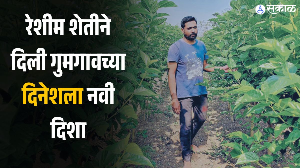 dinesh lokhande silk farming