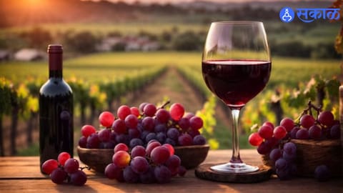 health benefits of red wine know all details