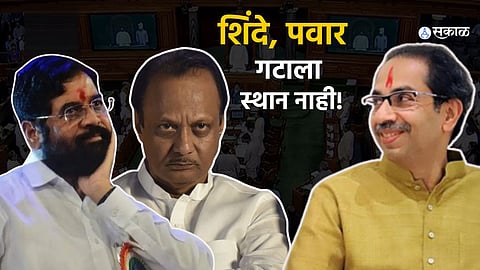 Lok Sabha Working Committee