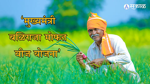 Mukhyamantri Baliraja Mofat Vij Yojna