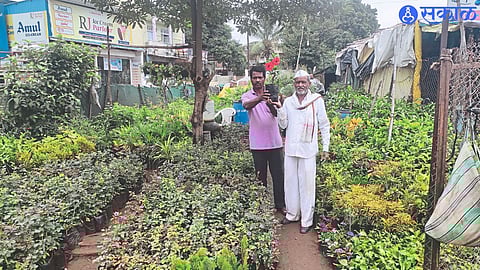 After the arrival of rains, the demand for fruit and flower plants increases, so customers buy plants.