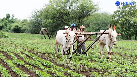 farming