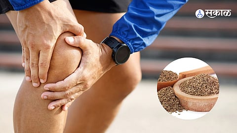 Health Care News : पावसाळ्यात सांधेदुखीचा त्रास होतो का? मग रिकाम्या पोटी 1 चमचा खा ही पावडर
