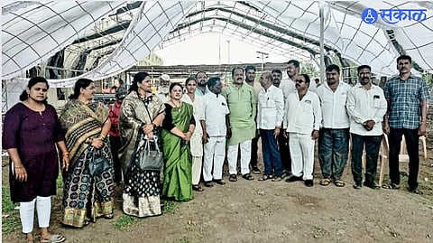 free food donation to devotees in Ashadhi Wari 2024 by cm eknath shinde