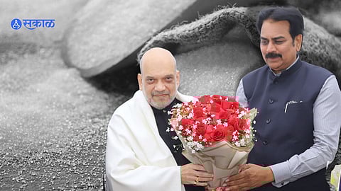 इथेनॉल निर्मितीवरची बंदी उठवा, साखर कारखाना महासंघाचे अमित शहांना साकडे