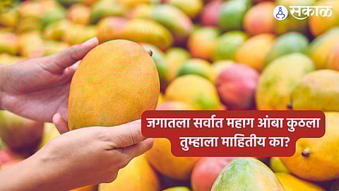 National Mango Day 2024