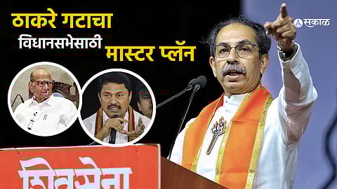 Uddhav Thackeray news
