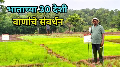 Farmer Dayanand Chaugule