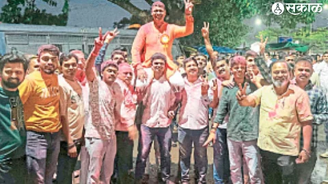 V. N. Naik Institution Election