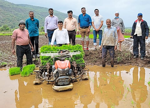 शेतकऱ्यांनी यांत्रिकी भात शेतीवर भर द्यावा