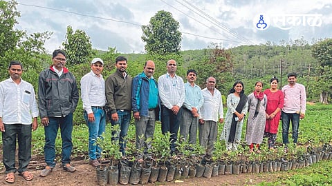 Apple Plantation in Wang Valley