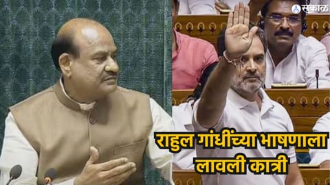 Rahul Gandhi in Lok Sabha