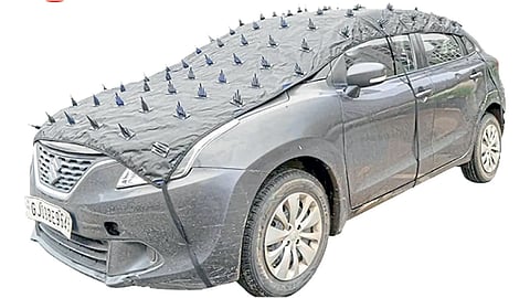 Nailed car covers