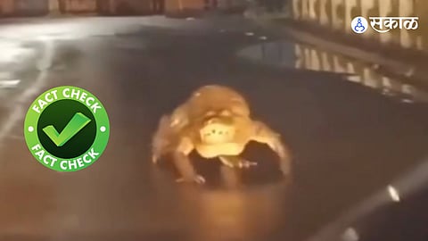Fact Check Chiplun Viral Video