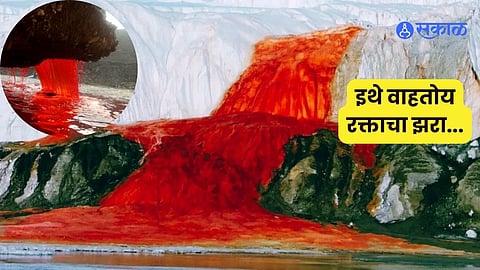 Antarctica's Blood Fall Century Old Mystery