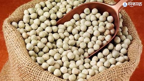|White Peas price goes up to Rs 105 per kg household budget impact