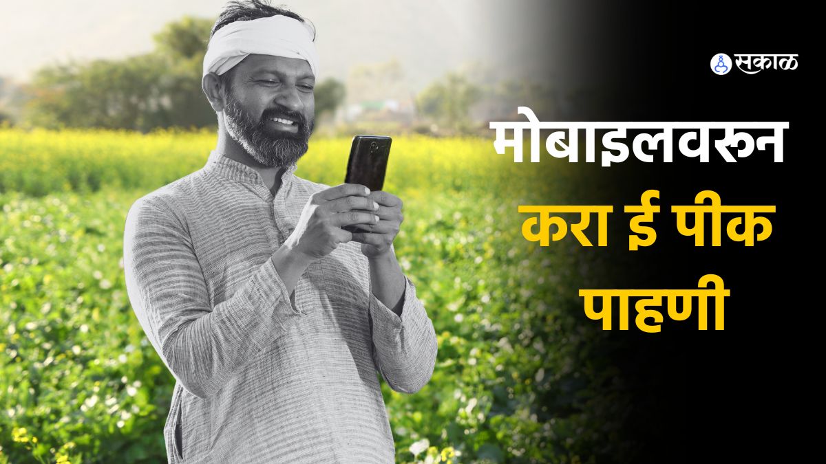 E-Peek Pahani news in marathi