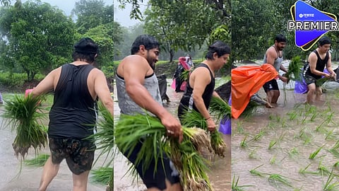 Marathi actor working in farm
