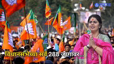 Pankaja Munde BJP Plan For Maharashtra Vidhan Sabha Election 2024