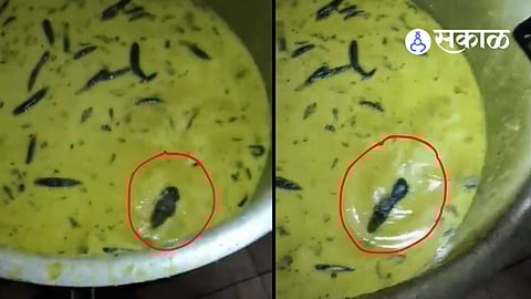 Mouse in vessel