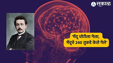 World Brain Day 2024