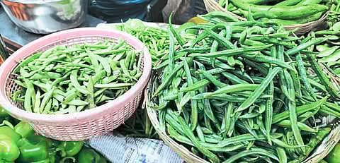 भाजीपाल्याचे दर २० टक्क्यांनी घसरले