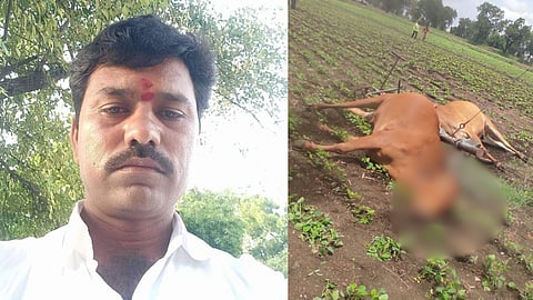 Electric Shock KilleDharur Beed