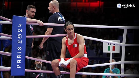 Olympic Committee Speaks Out After Boxing Gender Controversy
