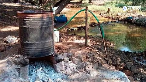 Thane: संजय गांधी राष्ट्रीय उद्यानातील हातभट्टी उध्वस्त, गावठी दारू तयार करणाऱ्या व्यक्तीला अटक