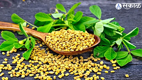 Fenugreek Seeds